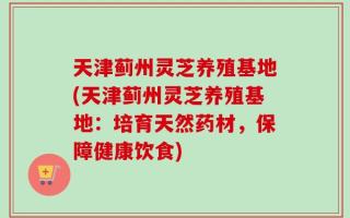 天津蓟州灵芝养殖基地(天津蓟州灵芝养殖基地：培育天然药材，保障健康饮食)