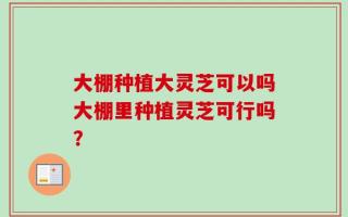大棚种植大灵芝可以吗大棚里种植灵芝可行吗？