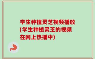 学生种植灵芝视频播放(学生种植灵芝的视频在网上热播中)