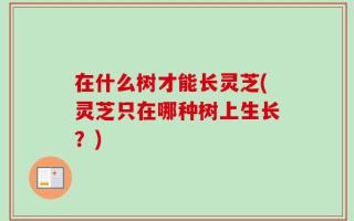 在什么树才能长灵芝(灵芝只在哪种树上生长？)