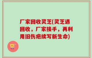 厂家回收灵芝(灵芝遇回收，厂家接手，再利用旧伤疤续写新生命)
