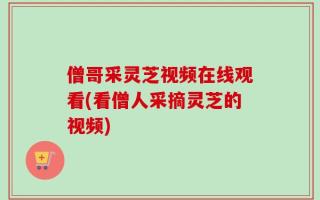 僧哥采灵芝视频在线观看(看僧人采摘灵芝的视频)