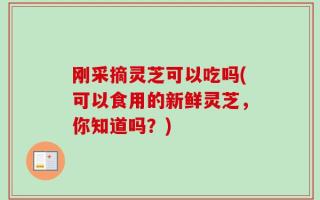 刚采摘灵芝可以吃吗(可以食用的新鲜灵芝，你知道吗？)