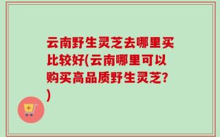 云南野生灵芝去哪里买比较好(云南哪里可以购买高品质野生灵芝？)