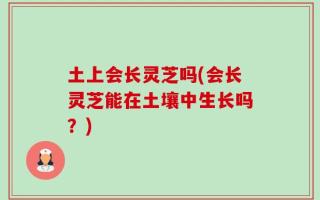 土上会长灵芝吗(会长灵芝能在土壤中生长吗？)
