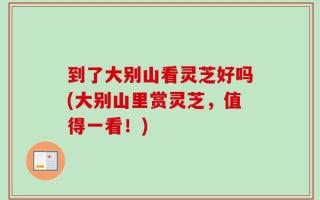 到了大别山看灵芝好吗(大别山里赏灵芝，值得一看！)