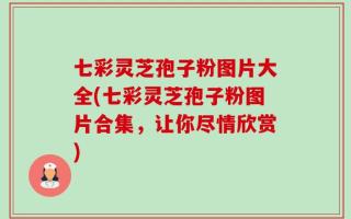 七彩灵芝孢子粉图片大全(七彩灵芝孢子粉图片合集，让你尽情欣赏)