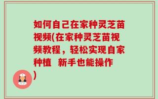 如何自己在家种灵芝苗视频(在家种灵芝苗视频教程，轻松实现自家种植  新手也能操作)