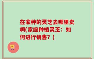 在家种的灵芝去哪里卖啊(家庭种植灵芝：如何进行销售？)