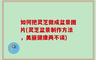 如何把灵芝做成盆景图片(灵芝盆景制作方法，美丽健康两不误)