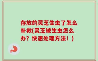 存放的灵芝生虫了怎么补救(灵芝被生虫怎么办？快速处理方法！)