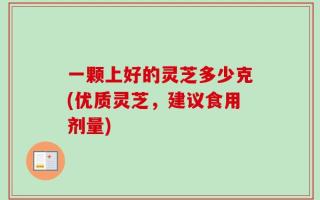 一颗上好的灵芝多少克(优质灵芝，建议食用剂量)