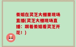 姜姐在灵芝大棚里现场直播(灵芝大棚现场直播：跟着姜姐看灵芝开花！)