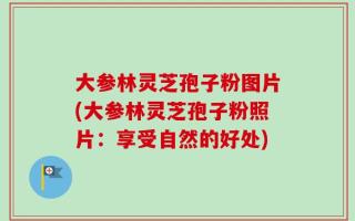 大参林灵芝孢子粉图片(大参林灵芝孢子粉照片：享受自然的好处)
