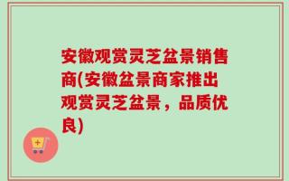 安徽观赏灵芝盆景销售商(安徽盆景商家推出观赏灵芝盆景，品质优良)