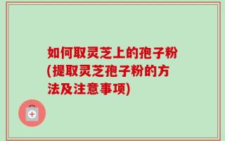 如何取灵芝上的孢子粉(提取灵芝孢子粉的方法及注意事项)