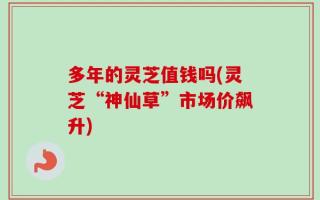 多年的灵芝值钱吗(灵芝“神仙草”市场价飙升)