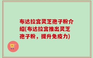 布达拉宫灵芝孢子粉介绍(布达拉宫推出灵芝孢子粉，提升免疫力)