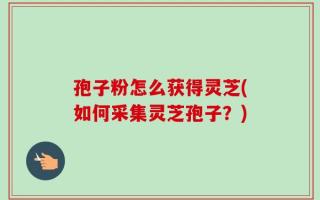 孢子粉怎么获得灵芝(如何采集灵芝孢子？)
