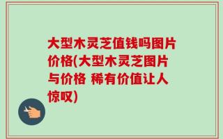 大型木灵芝值钱吗图片价格(大型木灵芝图片与价格 稀有价值让人惊叹)