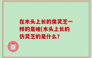 在木头上长的像灵芝一样的是啥(木头上长的仿灵芝的是什么？