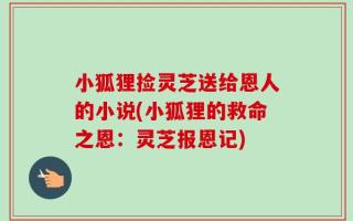 小狐狸捡灵芝送给恩人的小说(小狐狸的救命之恩：灵芝报恩记)