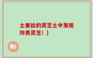 土里捡的灵芝土中发现珍贵灵芝！)