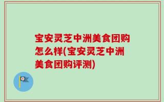 宝安灵芝中洲美食团购怎么样(宝安灵芝中洲美食团购评测)
