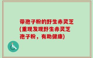 带孢子粉的野生赤灵芝(重现发现野生赤灵芝孢子粉，有助健康)