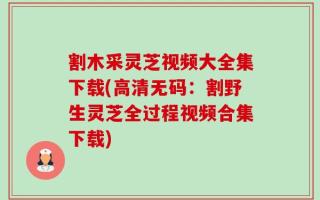 割木采灵芝视频大全集下载(高清无码：割野生灵芝全过程视频合集下载)