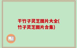 干竹子灵芝图片大全(竹子灵芝图片合集)