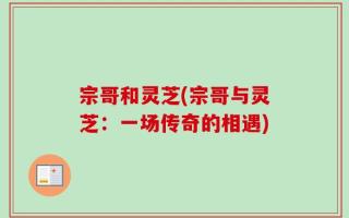 宗哥和灵芝(宗哥与灵芝：一场传奇的相遇)