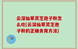 云深仙草灵芝孢子粉怎么吃(云深仙草灵芝孢子粉的正确食用方法)