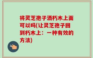 将灵芝孢子洒朽木上面可以吗(让灵芝孢子回到朽木上：一种有效的方法)