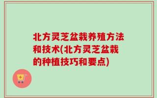北方灵芝盆栽养殖方法和技术(北方灵芝盆栽的种植技巧和要点)