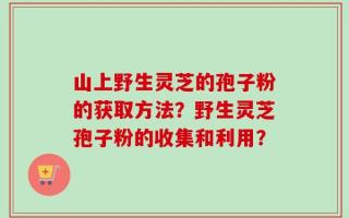 山上野生灵芝的孢子粉的获取方法？野生灵芝孢子粉的收集和利用？