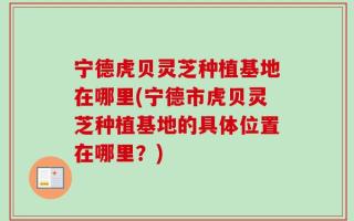 宁德虎贝灵芝种植基地在哪里(宁德市虎贝灵芝种植基地的具体位置在哪里？)