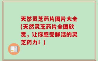 天然灵芝药片图片大全(天然灵芝药片全图欣赏，让你感受鲜活的灵芝药力！)