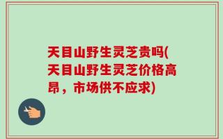 天目山野生灵芝贵吗(天目山野生灵芝价格高昂，市场供不应求)