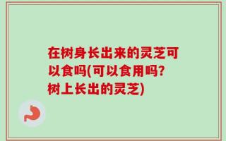 在树身长出来的灵芝可以食吗(可以食用吗？树上长出的灵芝)