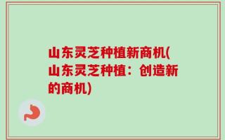 山东灵芝种植新商机(山东灵芝种植：创造新的商机)
