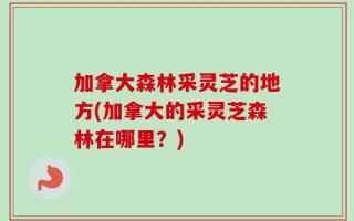 加拿大森林采灵芝的地方(加拿大的采灵芝森林在哪里？)