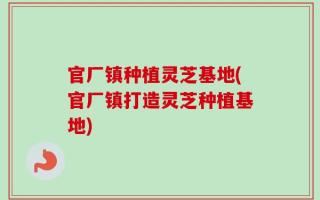 官厂镇种植灵芝基地(官厂镇打造灵芝种植基地)