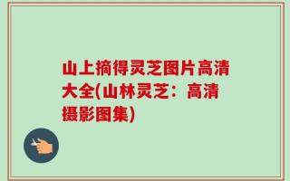 山上摘得灵芝图片高清大全(山林灵芝：高清摄影图集)