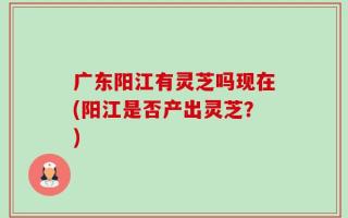 广东阳江有灵芝吗现在(阳江是否产出灵芝？)