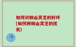 如何识别山灵芝的好坏(如何辨别山灵芝的优劣)