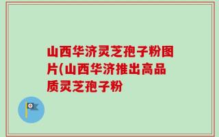 山西华济灵芝孢子粉图片(山西华济推出高品质灵芝孢子粉