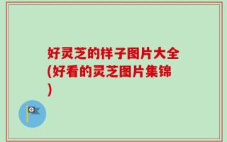 好灵芝的样子图片大全(好看的灵芝图片集锦)