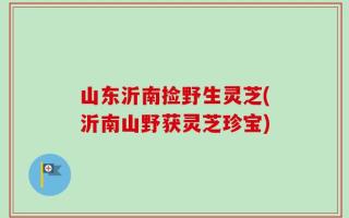 山东沂南捡野生灵芝(沂南山野获灵芝珍宝)