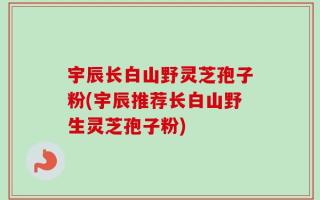 宇辰长白山野灵芝孢子粉(宇辰推荐长白山野生灵芝孢子粉)